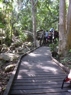 SAM_1189.jpg